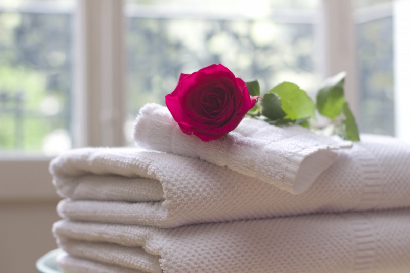 hotel-VILLARS SUR VAR-min_towel_rose_clean_care_salon_spa_white_bath-731641